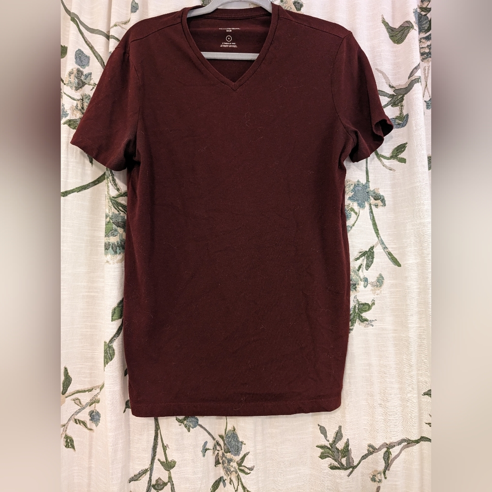 Basic maroon v neck tee